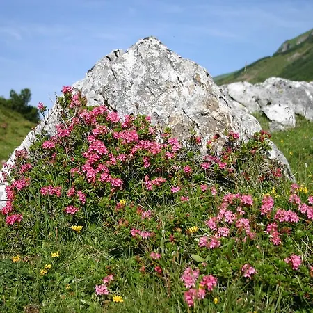 Gasthof 
