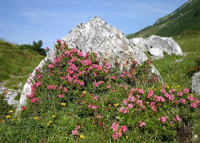 Zur Gemütlichkeit 3* Bschlabs