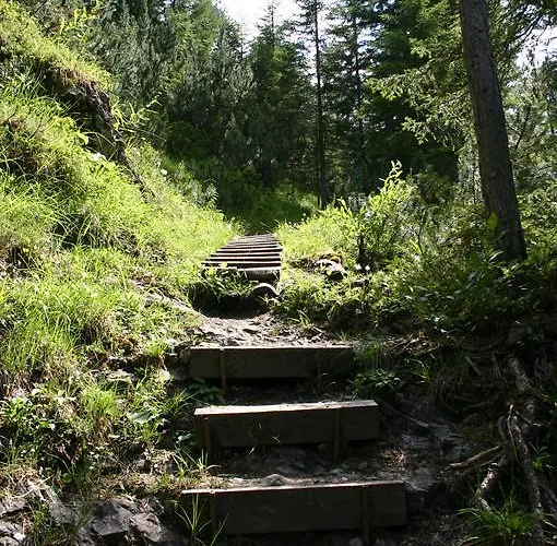 Zur Gemütlichkeit Pensión